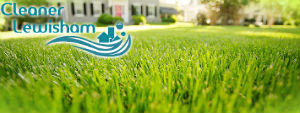 grass-cutting-services-lewisham