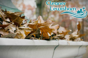 gutter-cleaners-lewisham